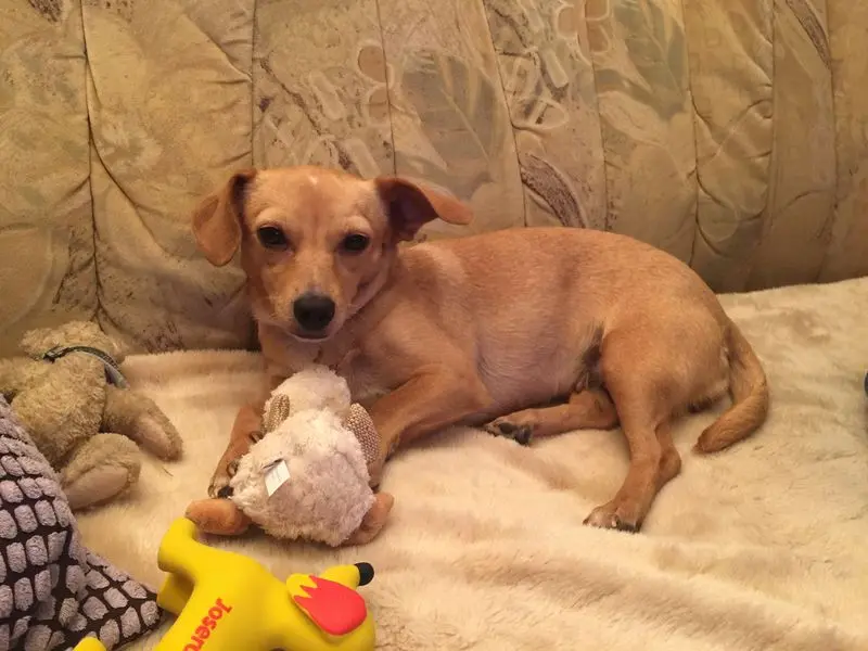 Andachtsbild von Christel und Moni