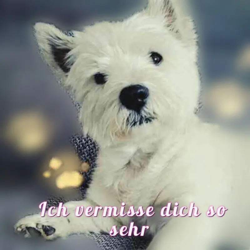 Andachtsbild von Familie von Kevin