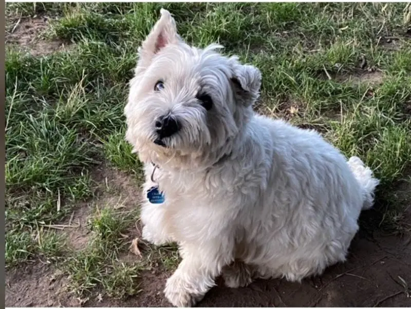 Andachtsbild von Deine Mama