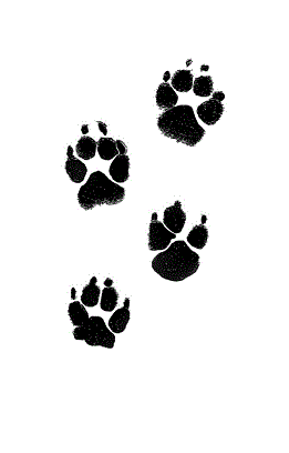 Andachtsbild von Deine Dich liebende Mama ... ❤️