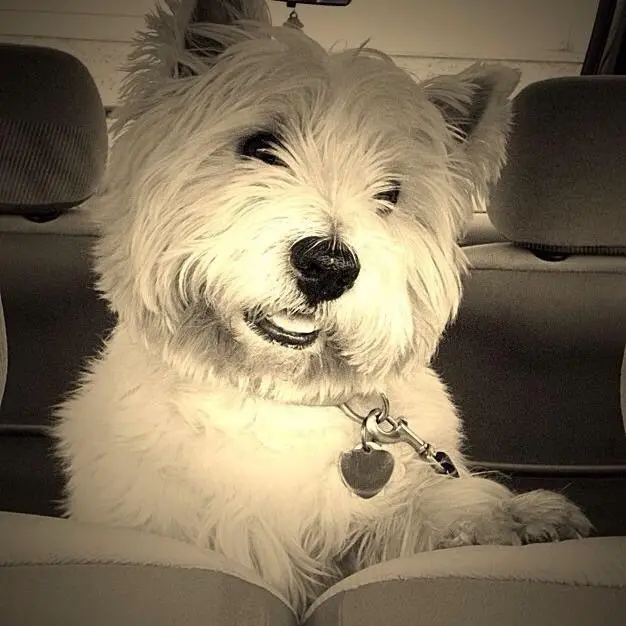 Andachtsbild von Deine Dich liebende Mama ❤️ Ich vermisse Dich ❤️