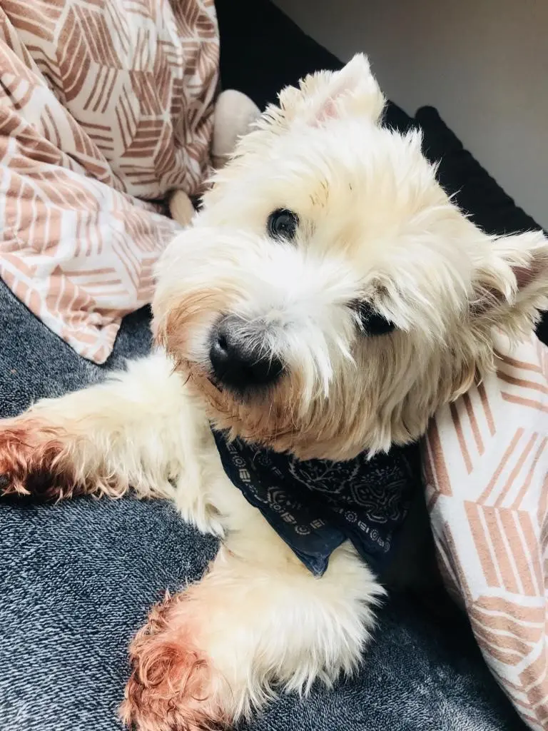 Andachtsbild von Deine Dich liebende Mama ❤️ Du bist immer bei mir in meinem Herzen ❤️