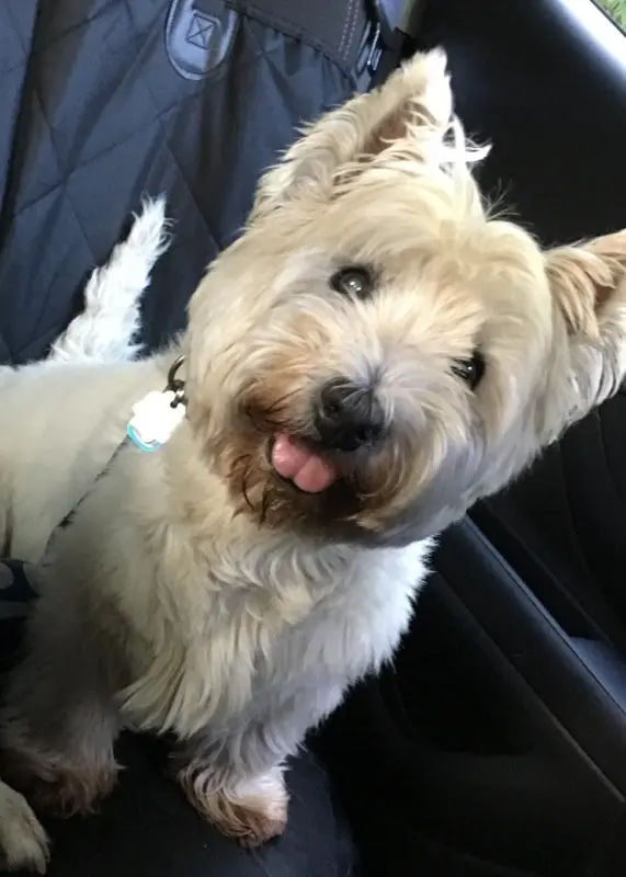 Andachtsbild von Deine Dich liebende Mama ❤️