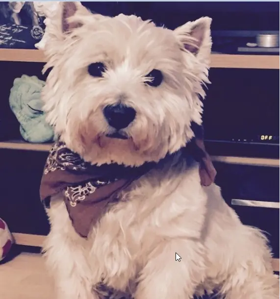 Andachtsbild von Deine Dich liebende Mama ❤️