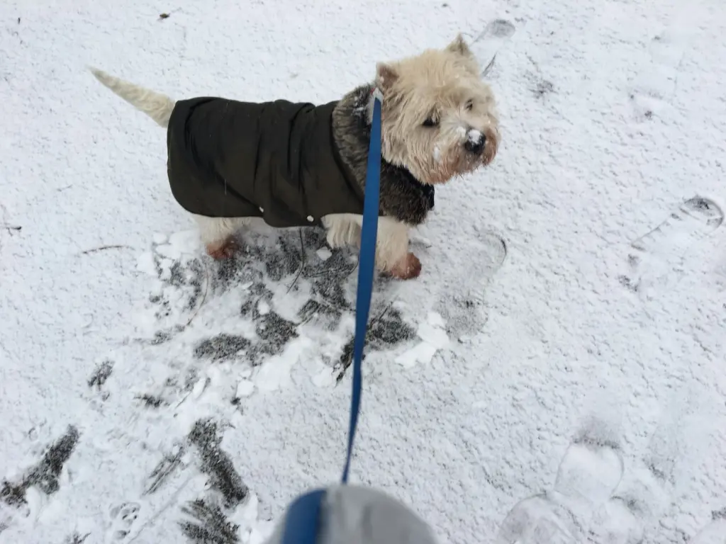 Andachtsbild von Deine Dich liebende Mama ❤️