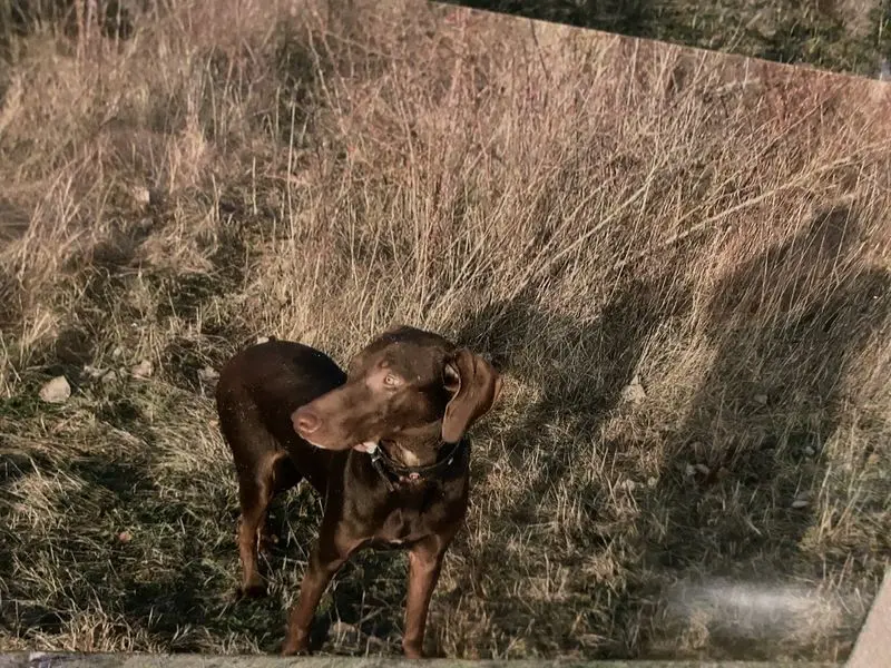 Andachtsbild von Sigunda