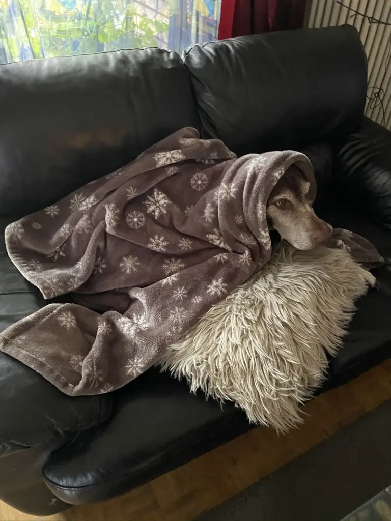 Andachtsbild von Sigunda