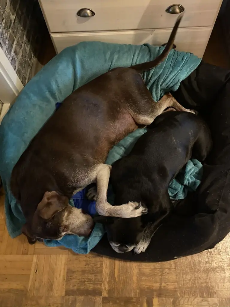 Andachtsbild von Sigunda