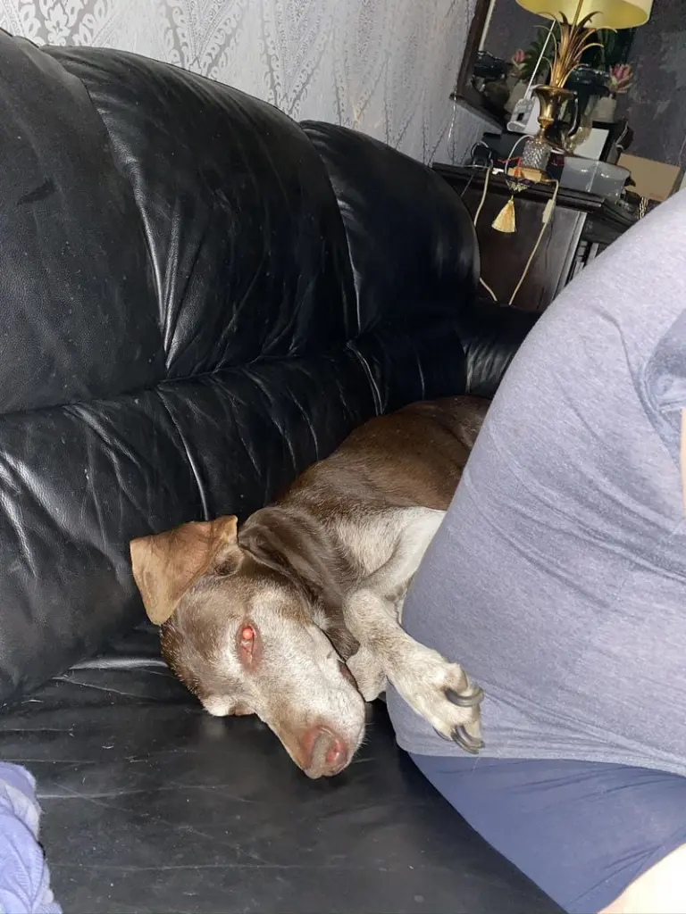 Andachtsbild von Sigunda