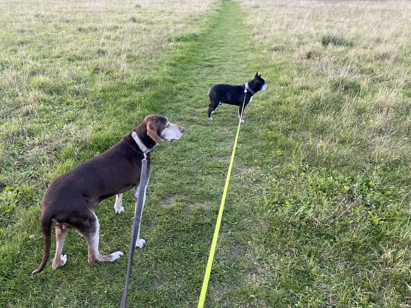 Andachtsbild von Sigunda