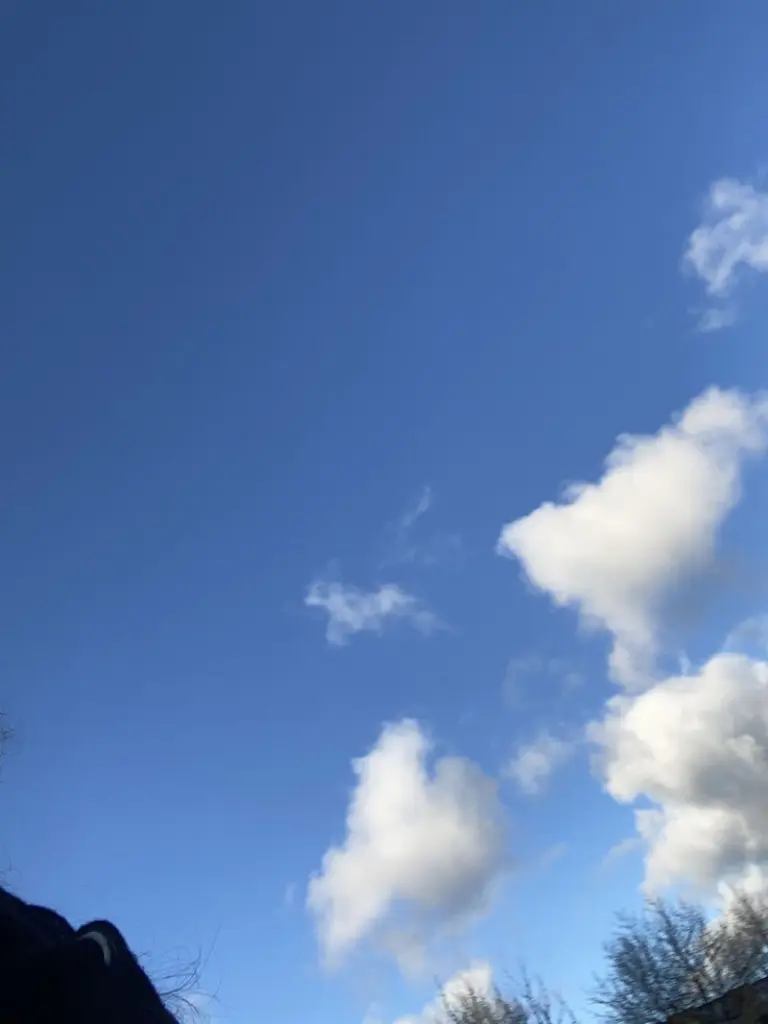 Andachtsbild von Sigunda