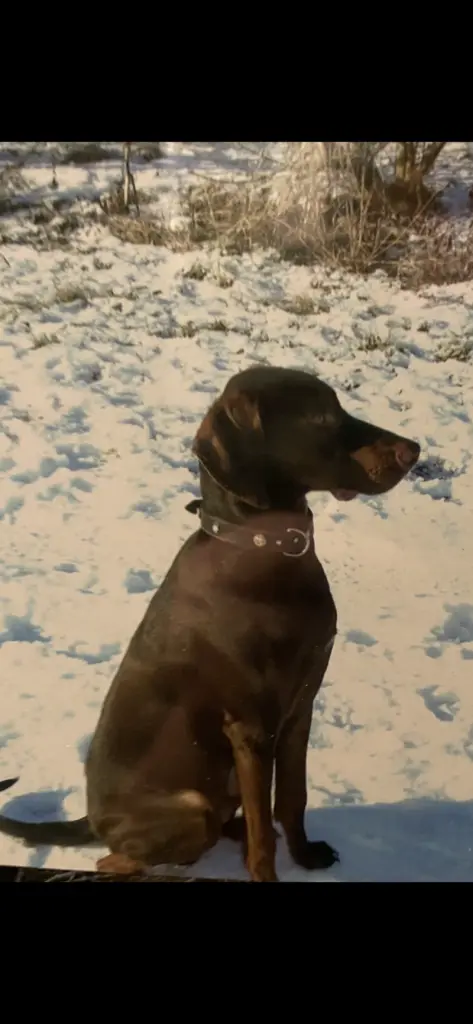 Andachtsbild von Sigunda