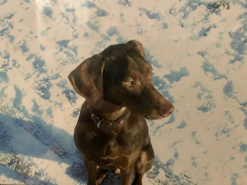 Andachtsbild von Sigunda