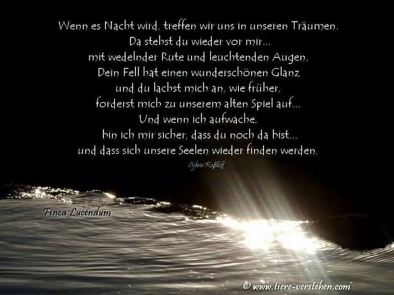 Andachtsbild von Katrin und Katzi im ❤️