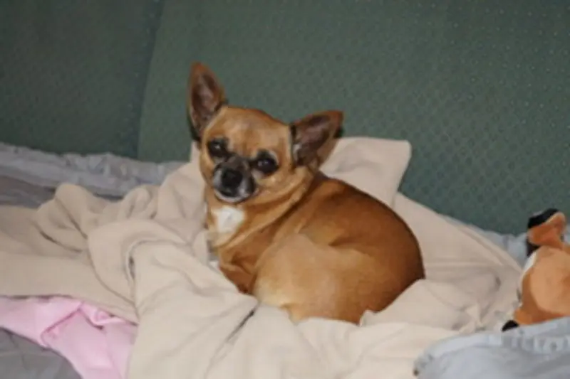 Condolence image of Barbara