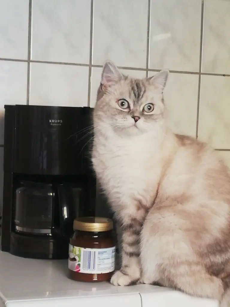Condolence image of Bianka 