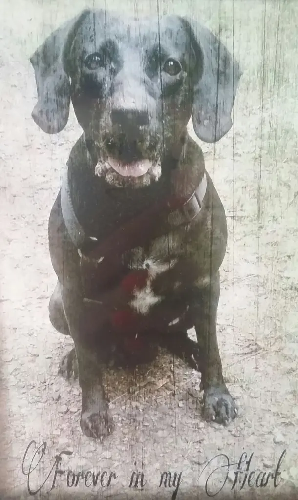 Condolence image of Sabrina 