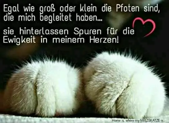 Condolence image of Unbekannt