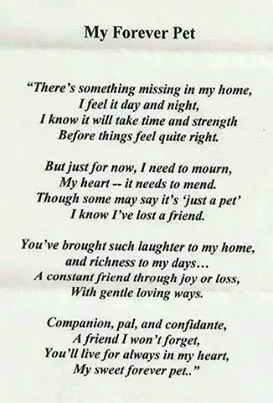Condolence image of Monika