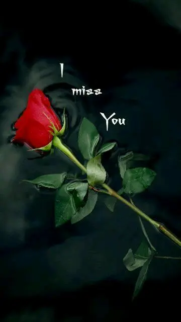 Condolence image of Monika
