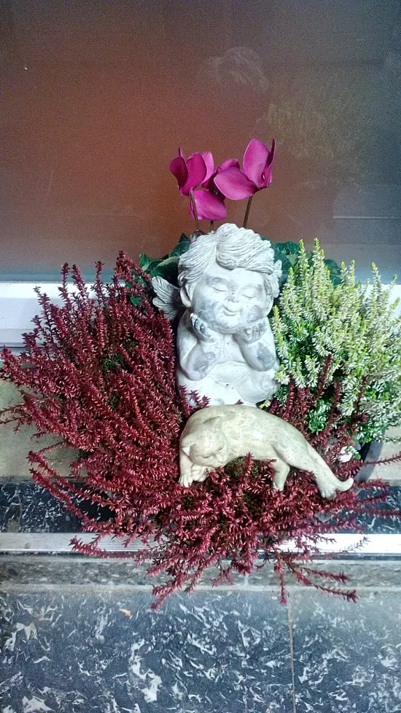 Condolence image of Unbekannt