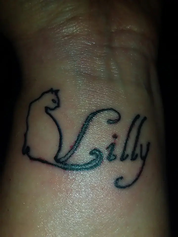 Image from Lilly