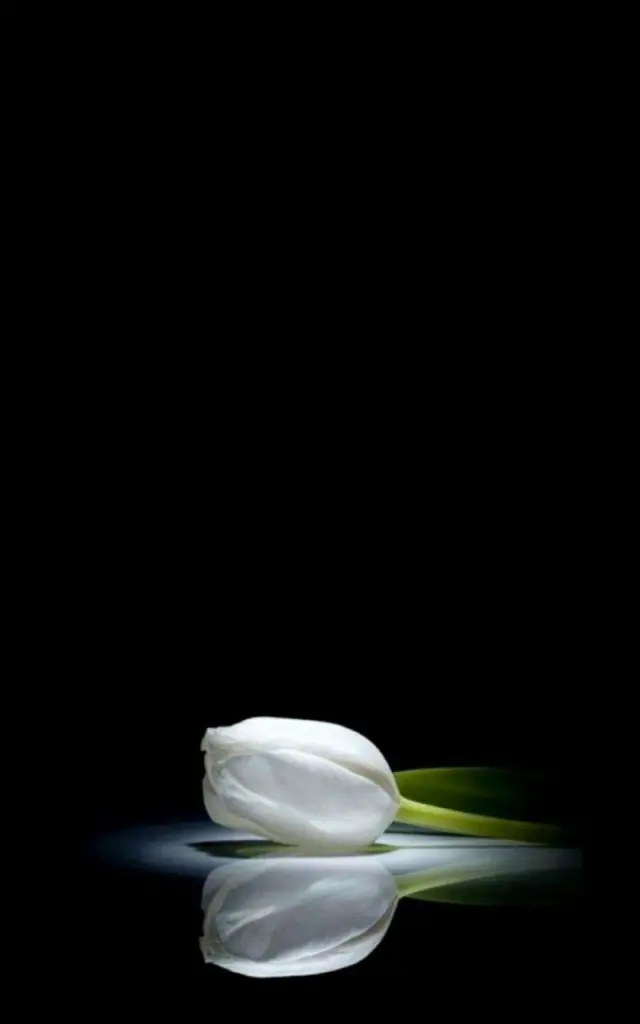 Condolence image of Unbekannt