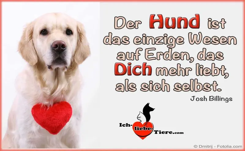 Condolence image of Katrin und Katzi im ❤️