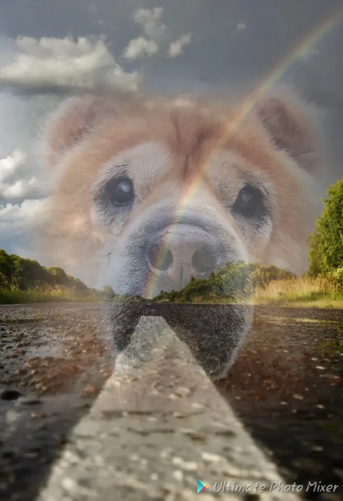 Condolence image of Gaby