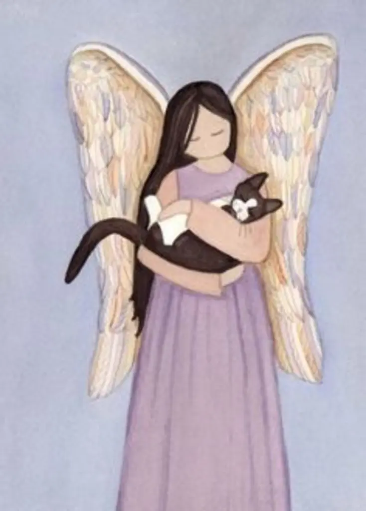 Condolence image of Katrin und Katzi im ❤️