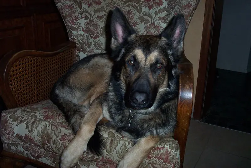 Condolence image of Unbekannt