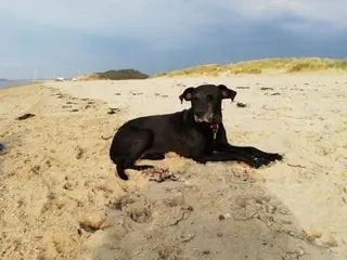 Bild von Maja