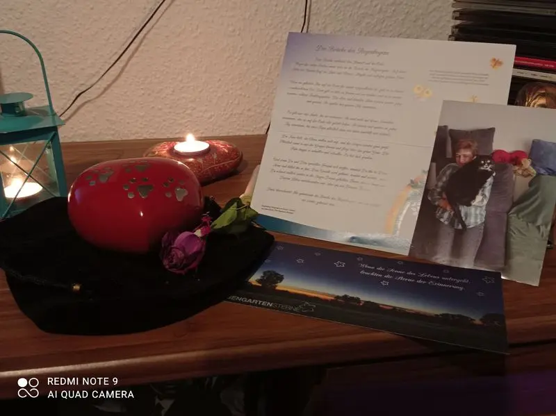 Condolence image of cornelia