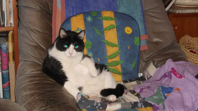 Condolence image of conny