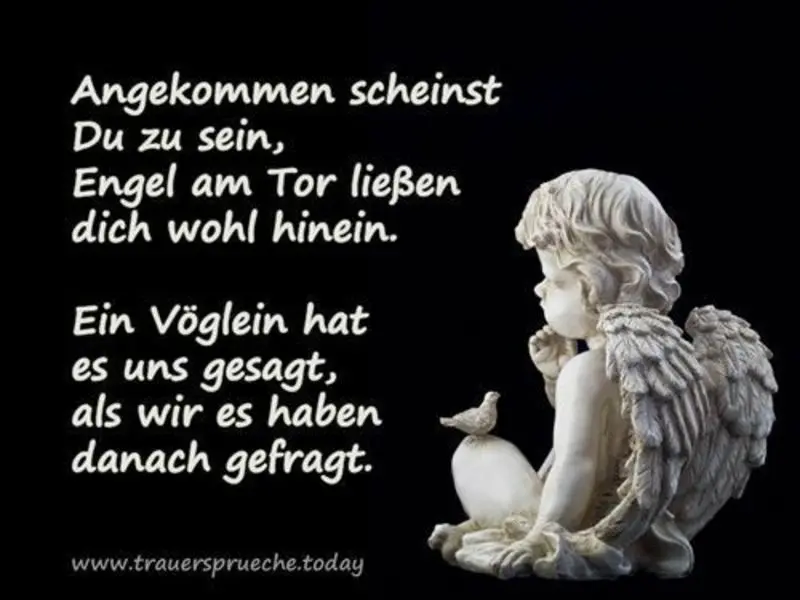 Condolence image of Andrea mit Minki im ❤ gest.19.10.2020