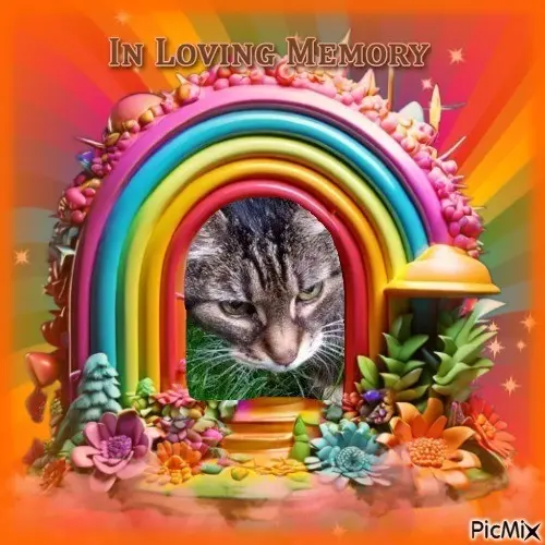 Condolence image of Andrea