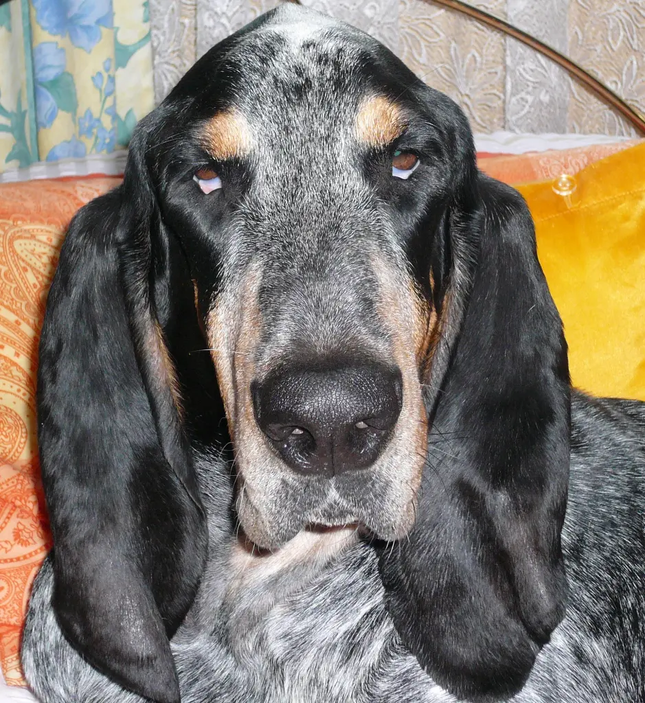 Condolence image of Eva