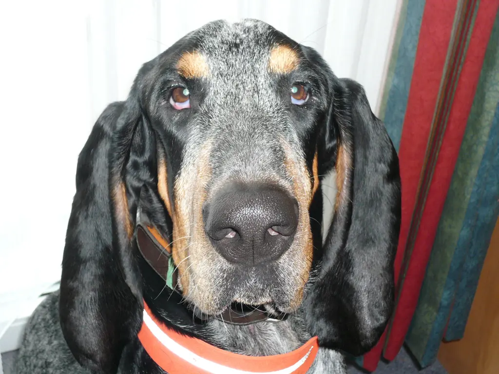 Condolence image of Eva