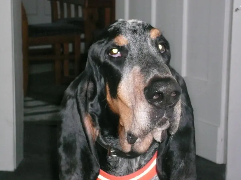 Condolence image of Eva