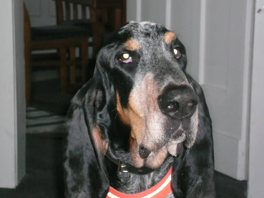 Condolence image of Eva