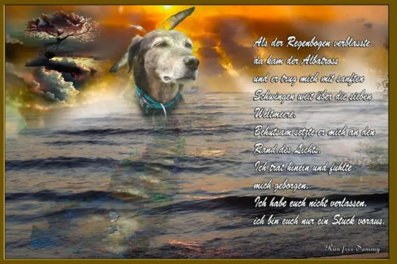 Condolence image of Unbekannt