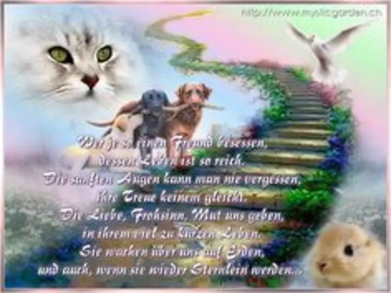 Andachtsbild von Gabi mit Max (gest. 20.11.2020)