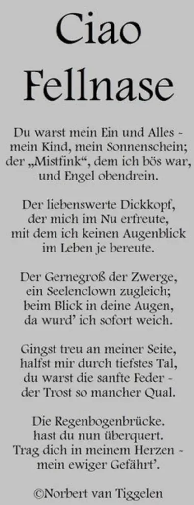 Andachtsbild von Svenja Doerksen