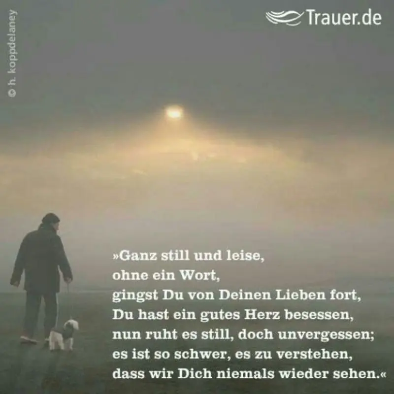 Condolence image of Gabi mit Max (gest. 20.11.2020)
