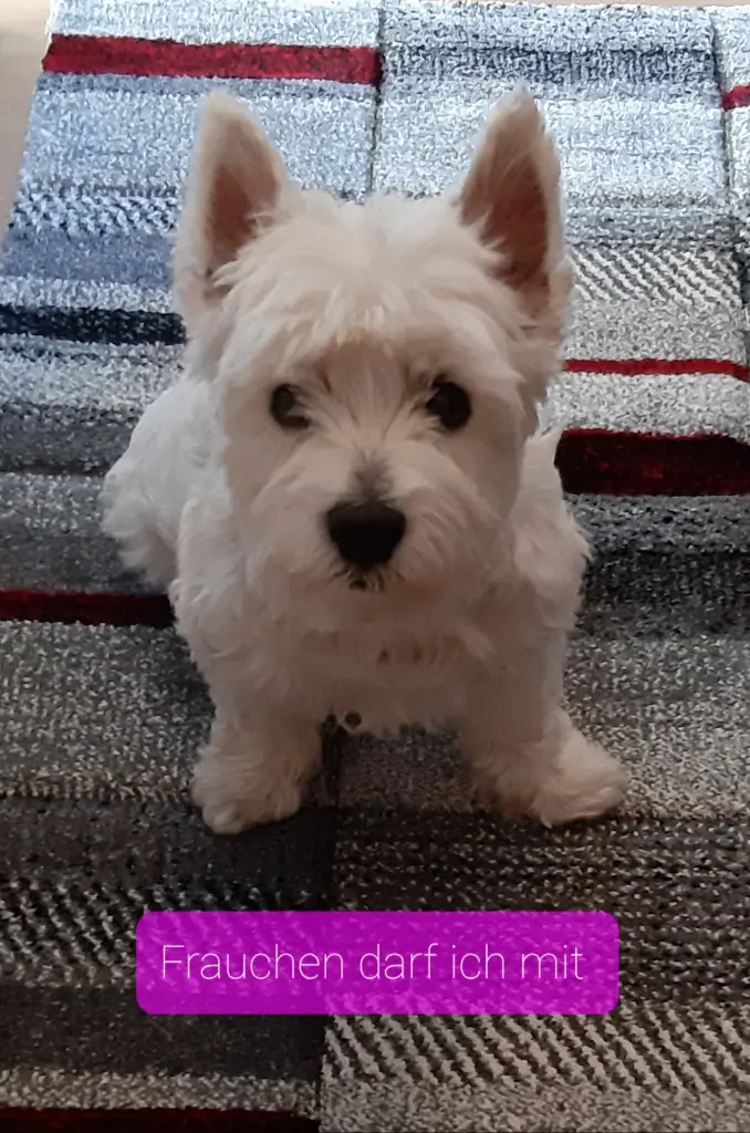 Bild von Lucy
