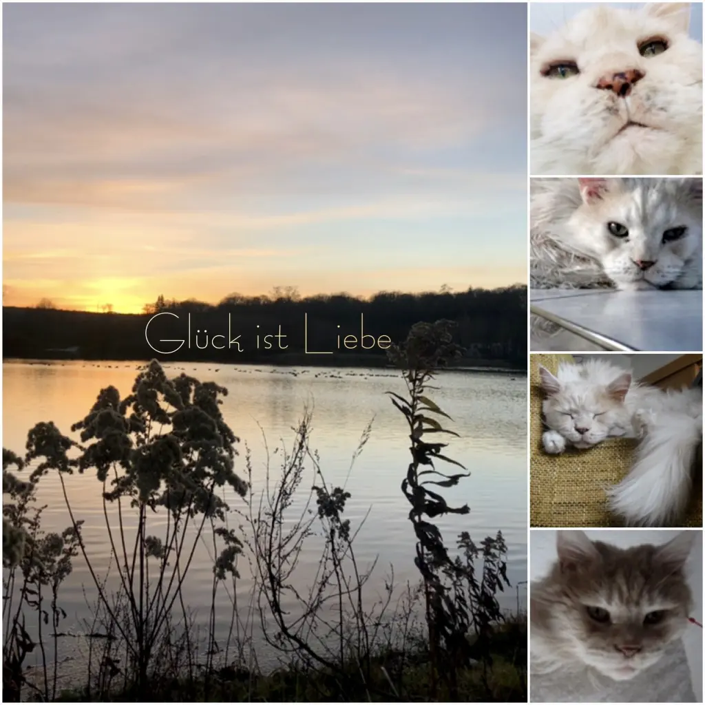 Image from Meilou