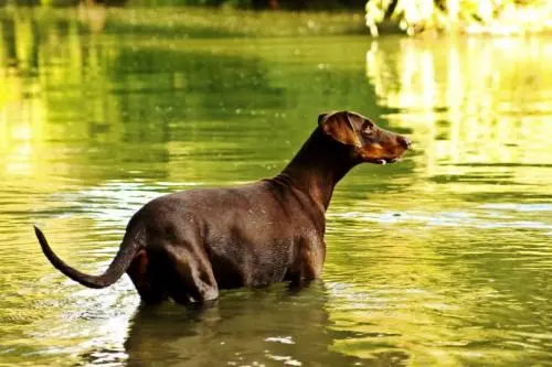 Image from Chiara vom Ferrenberg