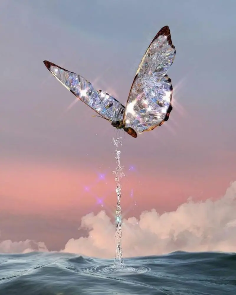 Condolence image of Unbekannt