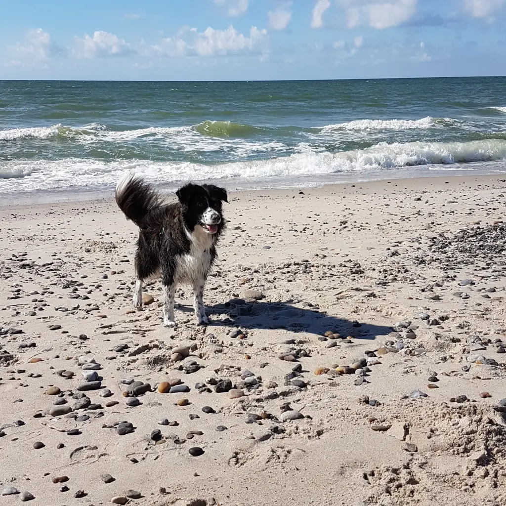 Image from Luna