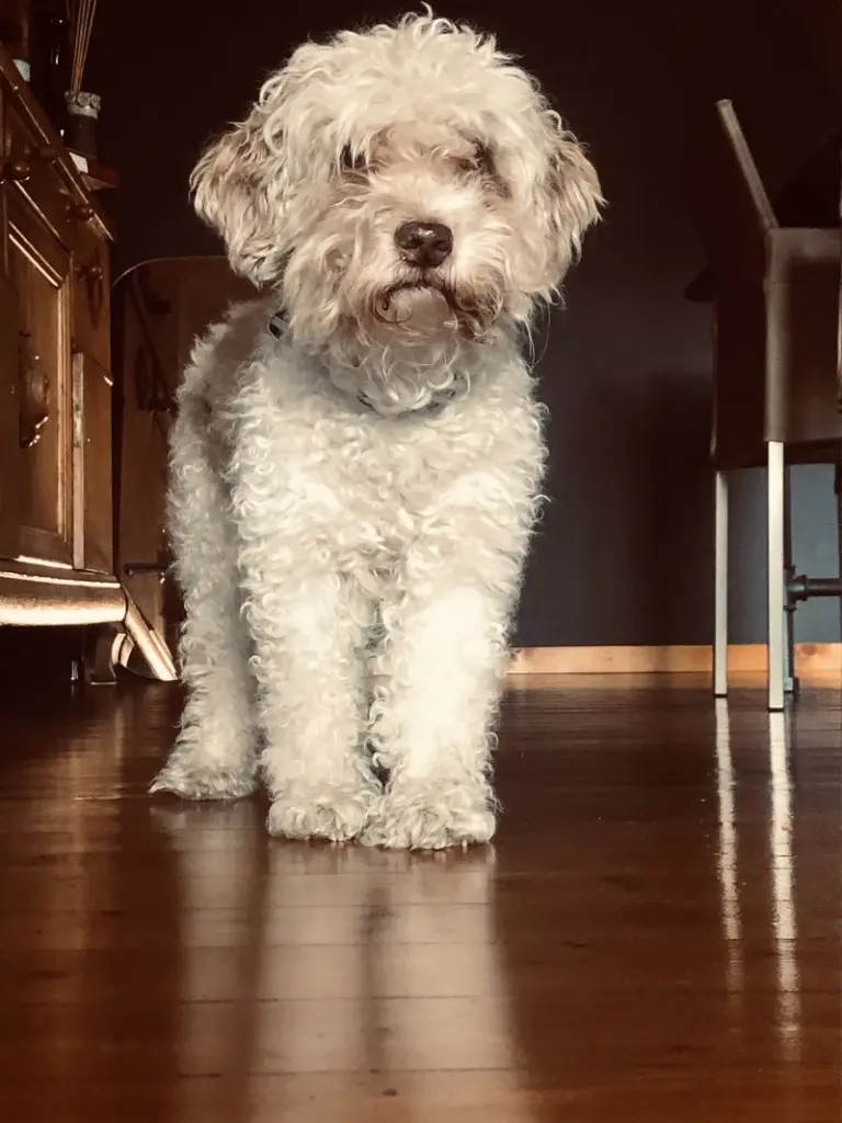 Condolence image of Heike